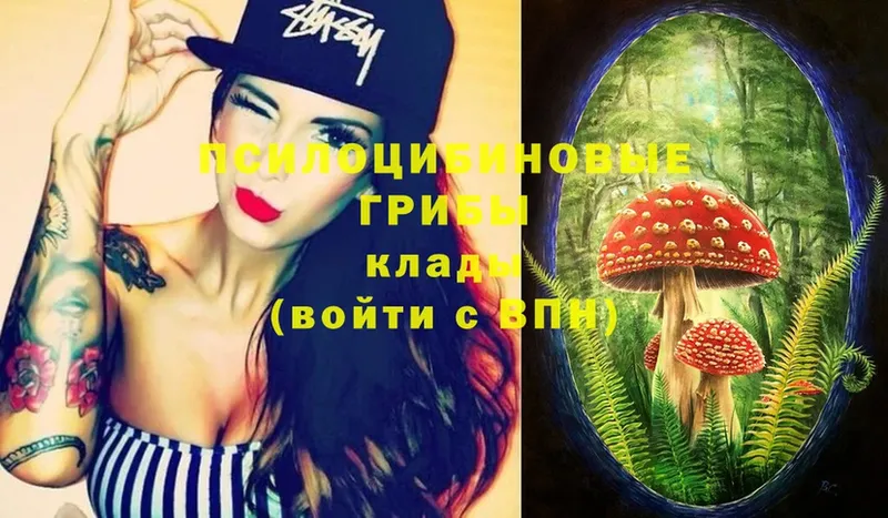 Галлюциногенные грибы Magic Shrooms Ковдор